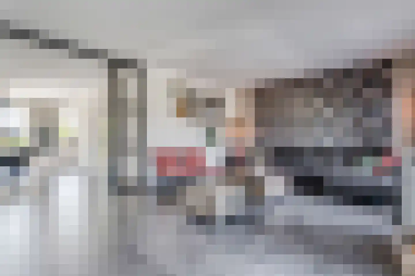 Rietpluim 18 Marknesse thumbnail 22