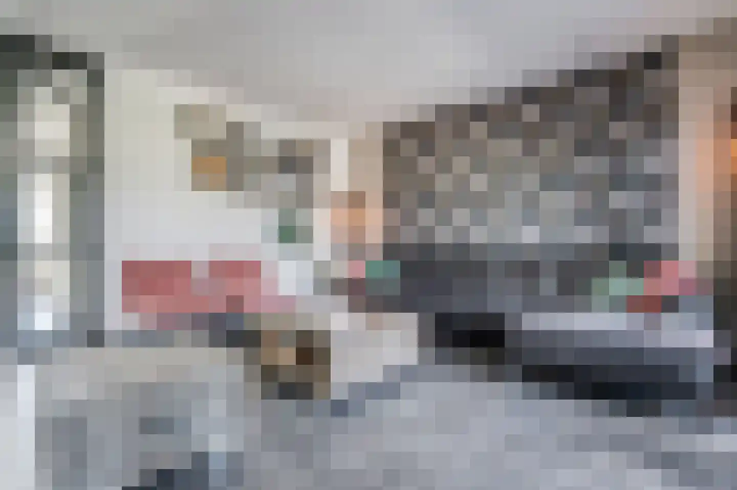 Rietpluim 18 Marknesse thumbnail 23