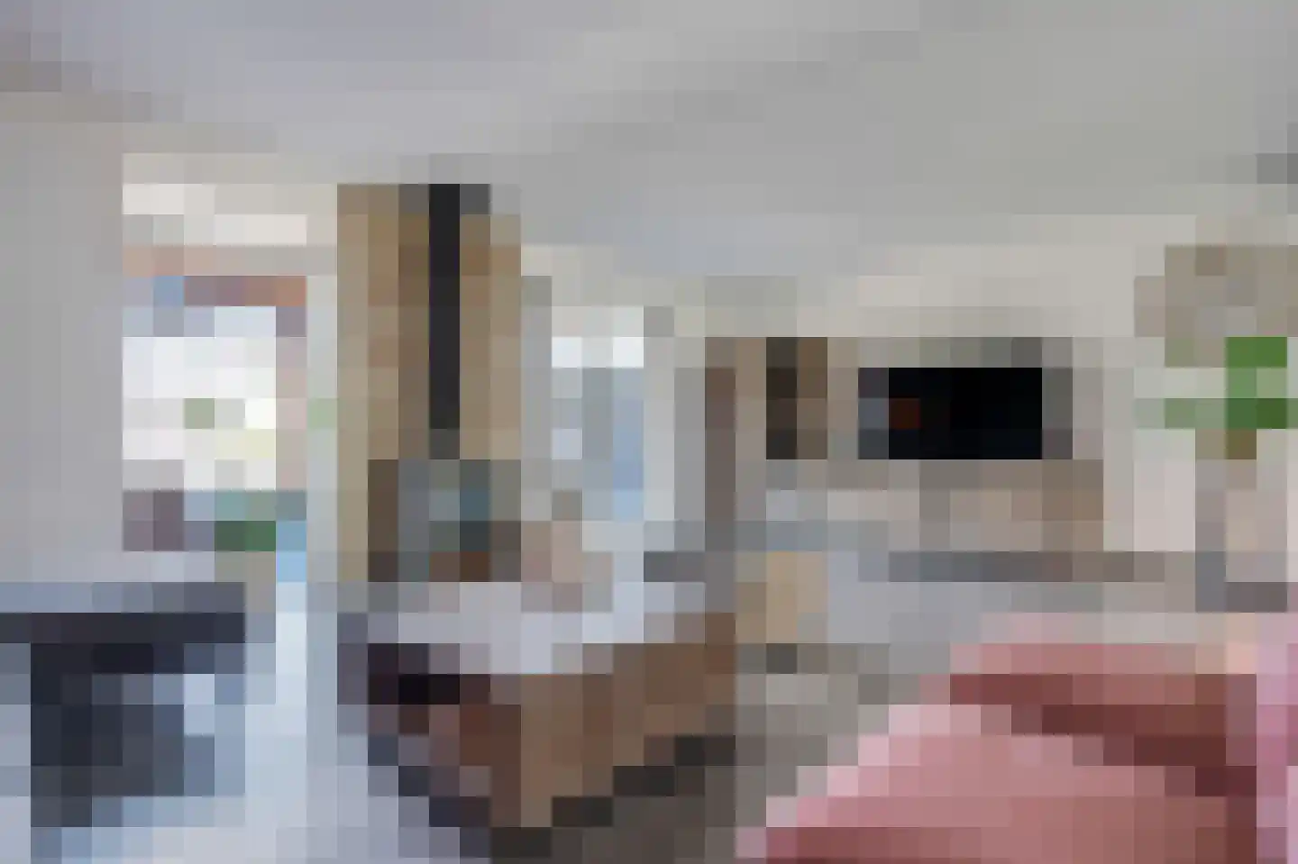 Rietpluim 18 Marknesse thumbnail 25