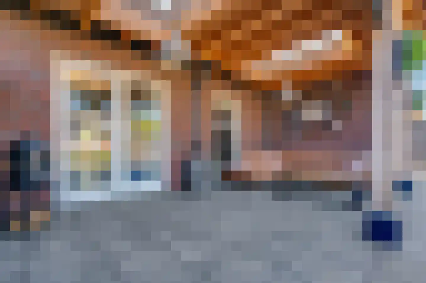 Rietpluim 18 Marknesse thumbnail 27