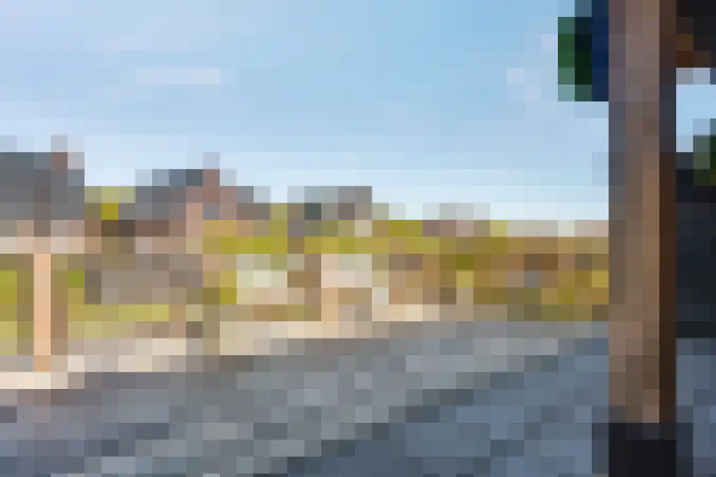 Rietpluim 18 Marknesse thumbnail 31