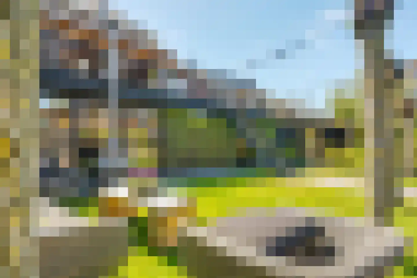 Rietpluim 18 Marknesse thumbnail 36