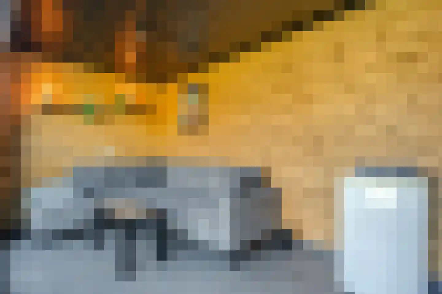 Rietpluim 18 Marknesse thumbnail 37