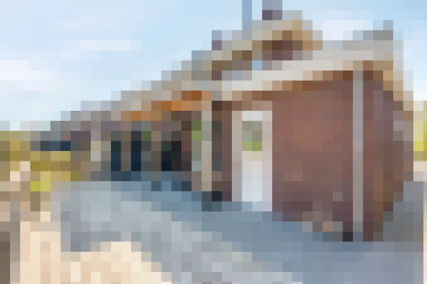 Rietpluim 18 Marknesse thumbnail 41