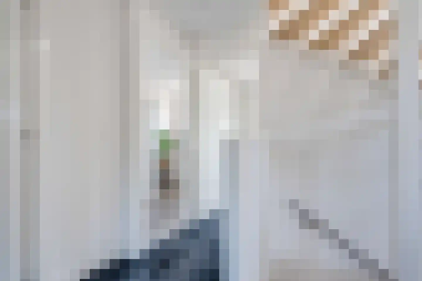 Rietpluim 18 Marknesse thumbnail 46