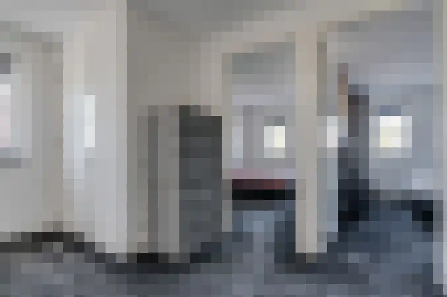 Rietpluim 18 Marknesse thumbnail 47