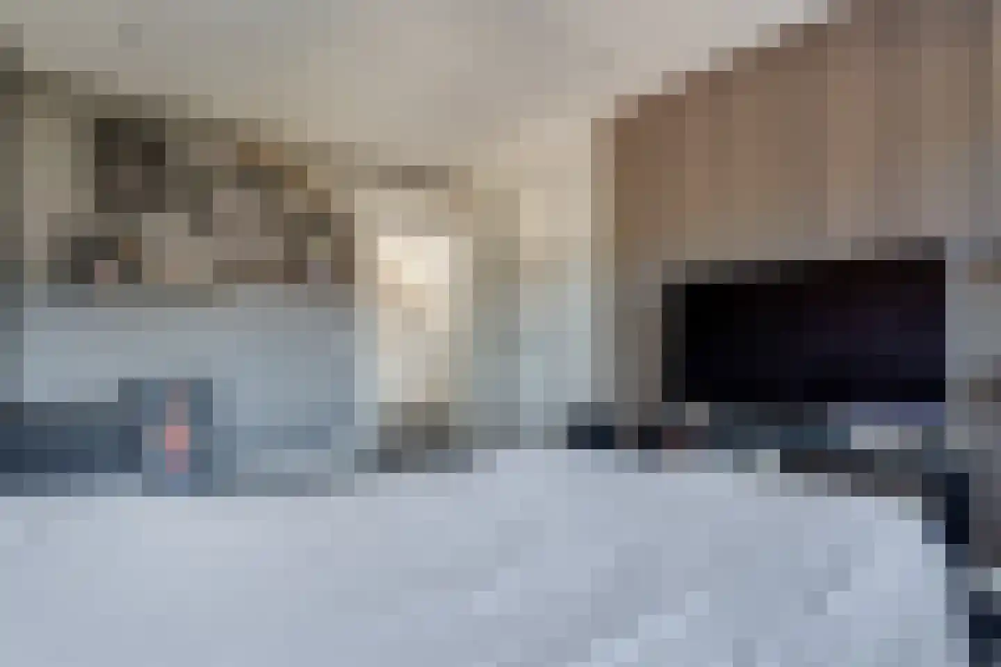 Rietpluim 18 Marknesse thumbnail 51