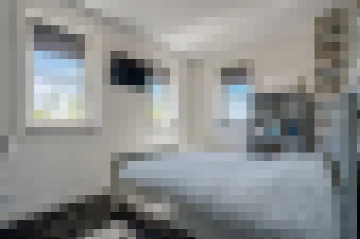 Rietpluim 18 Marknesse thumbnail 52