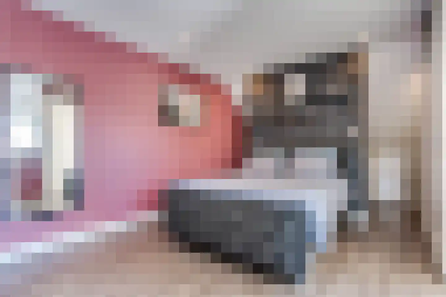 Rietpluim 18 Marknesse thumbnail 59