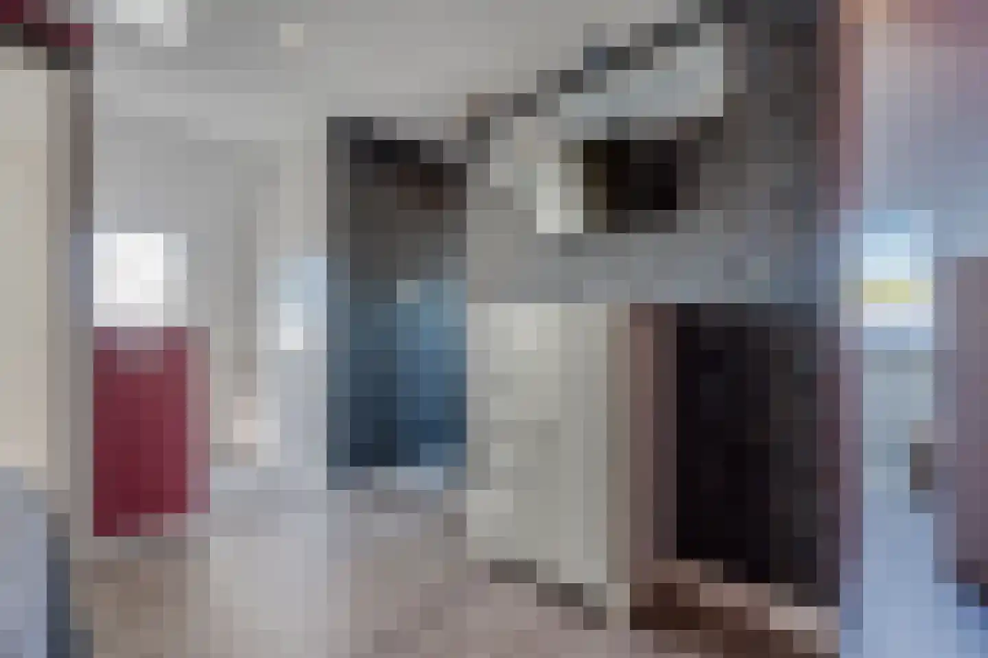 Rietpluim 18 Marknesse thumbnail 61
