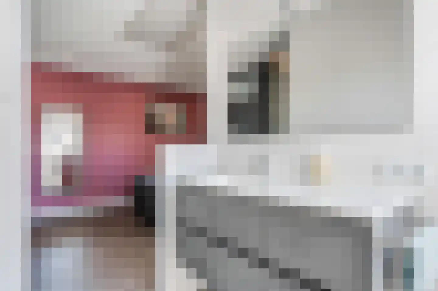 Rietpluim 18 Marknesse thumbnail 64