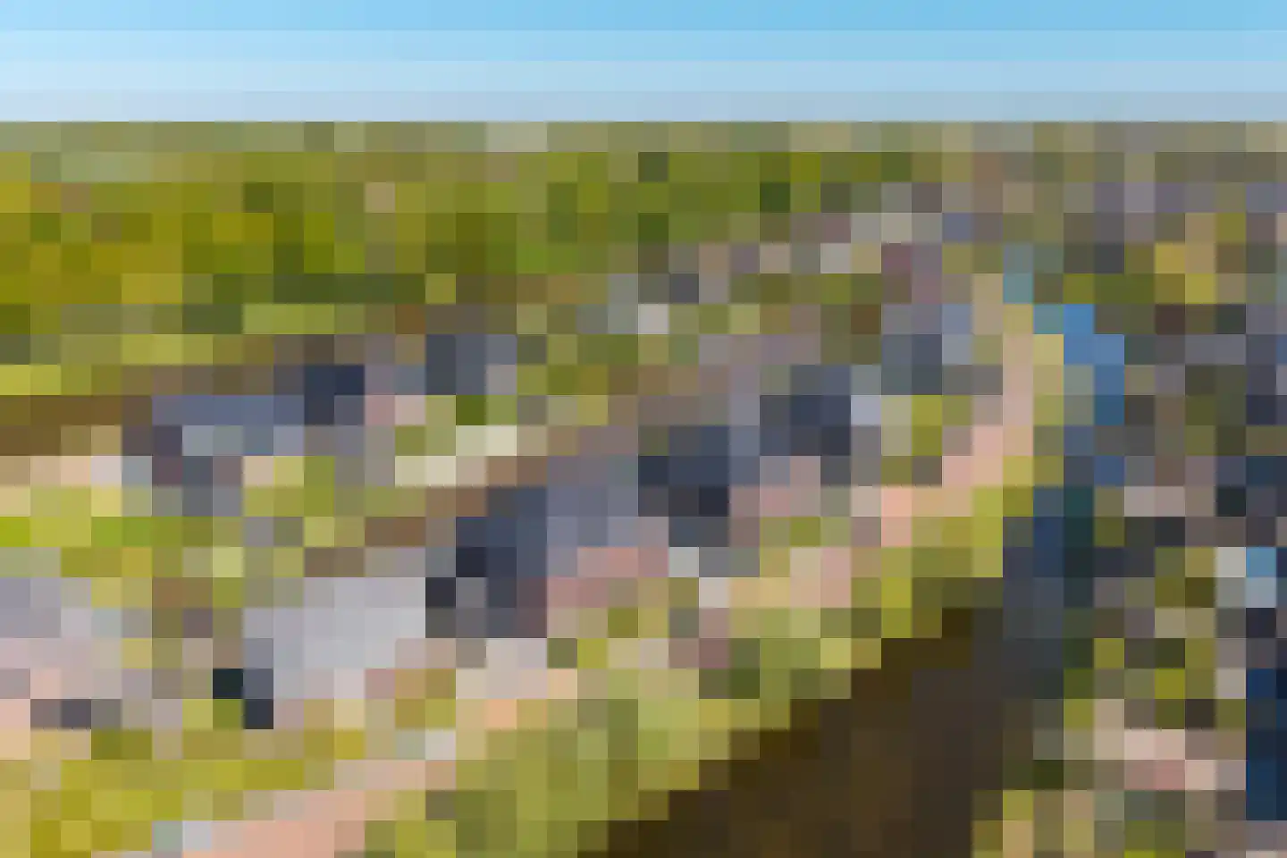Rietpluim 18 Marknesse thumbnail 67