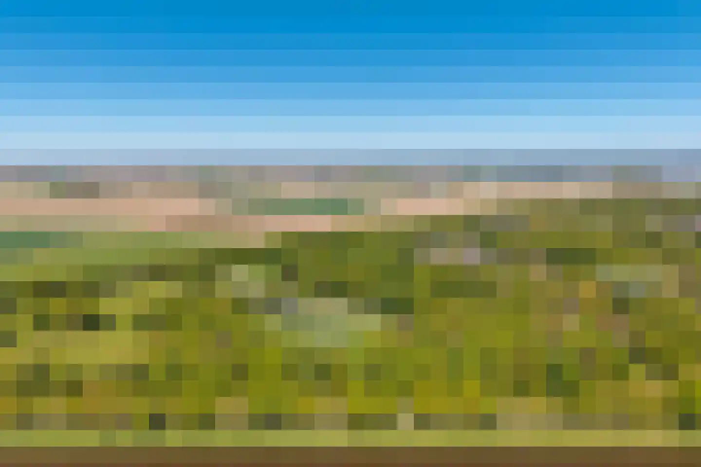 Rietpluim 18 Marknesse thumbnail 68