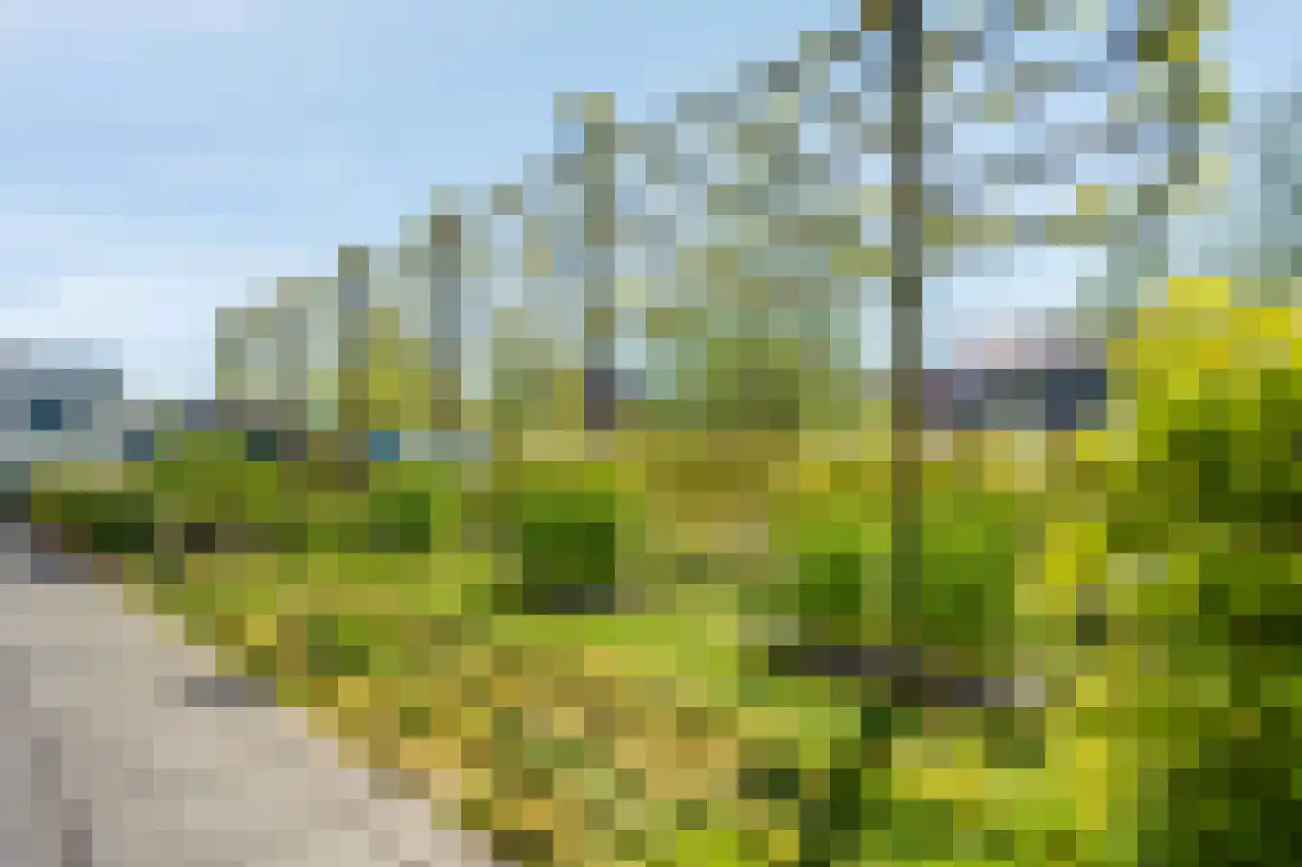 Rietpluim 18 Marknesse thumbnail 7