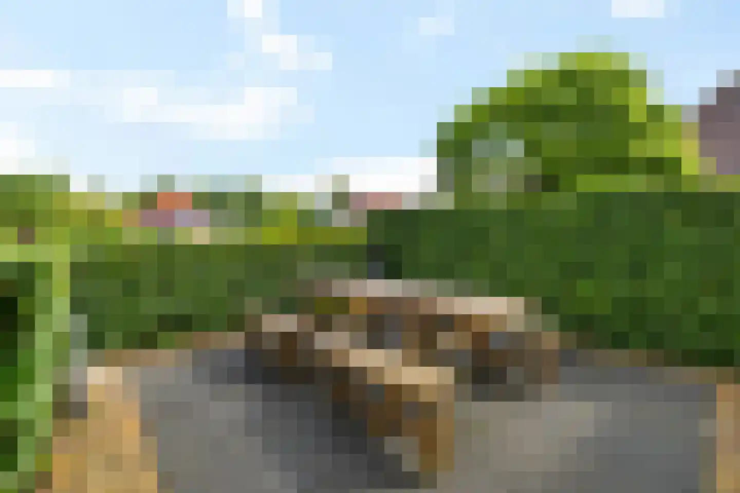 Rietpluim 7 Marknesse thumbnail 10
