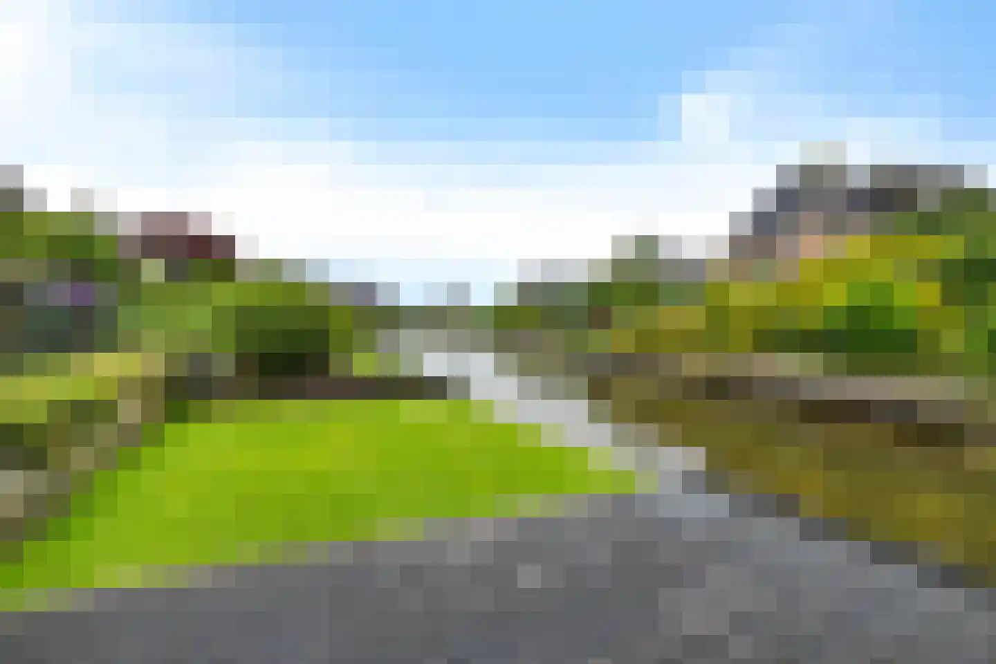Rietpluim 7 Marknesse thumbnail 12