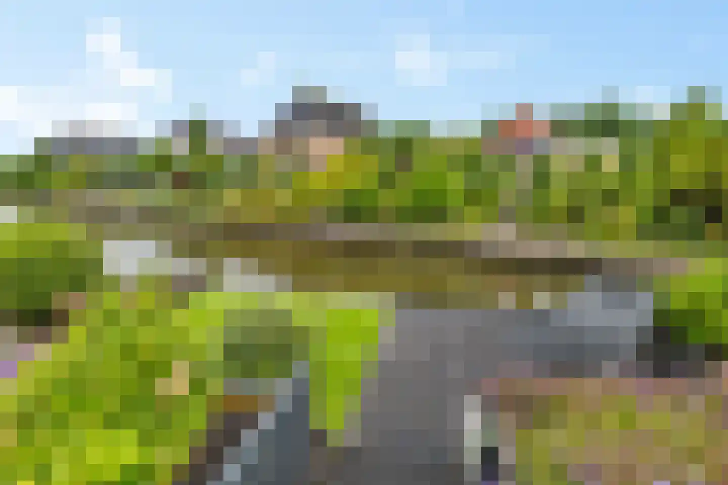 Rietpluim 7 Marknesse thumbnail 13