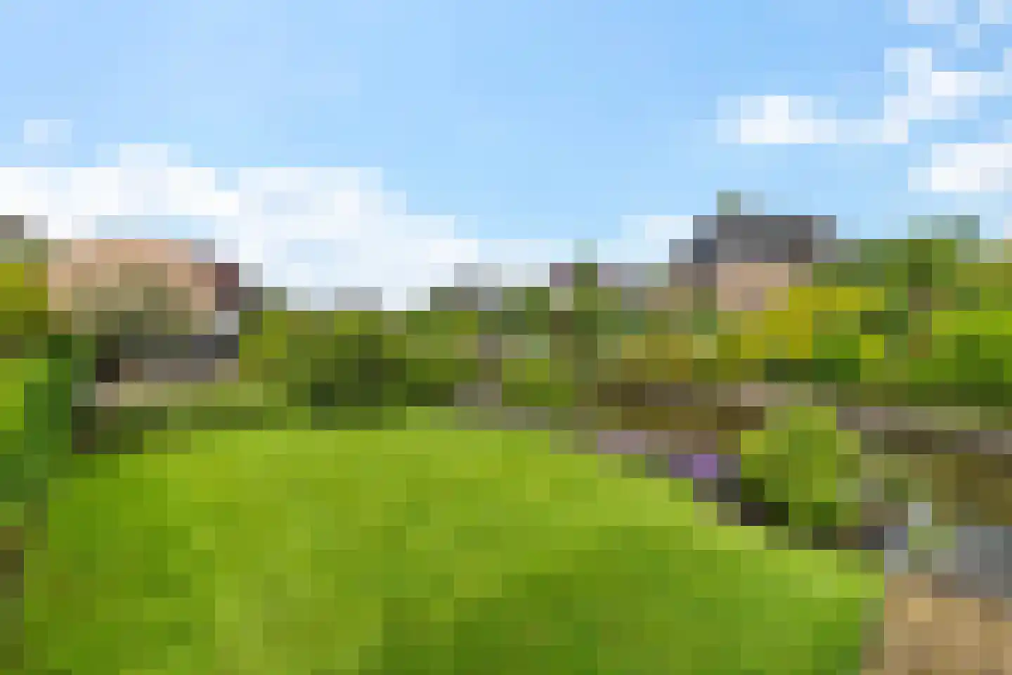 Rietpluim 7 Marknesse thumbnail 14