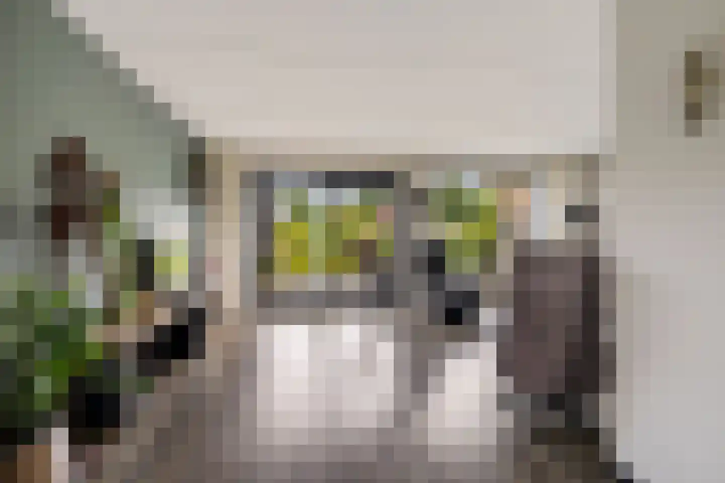 Rietpluim 7 Marknesse thumbnail 19