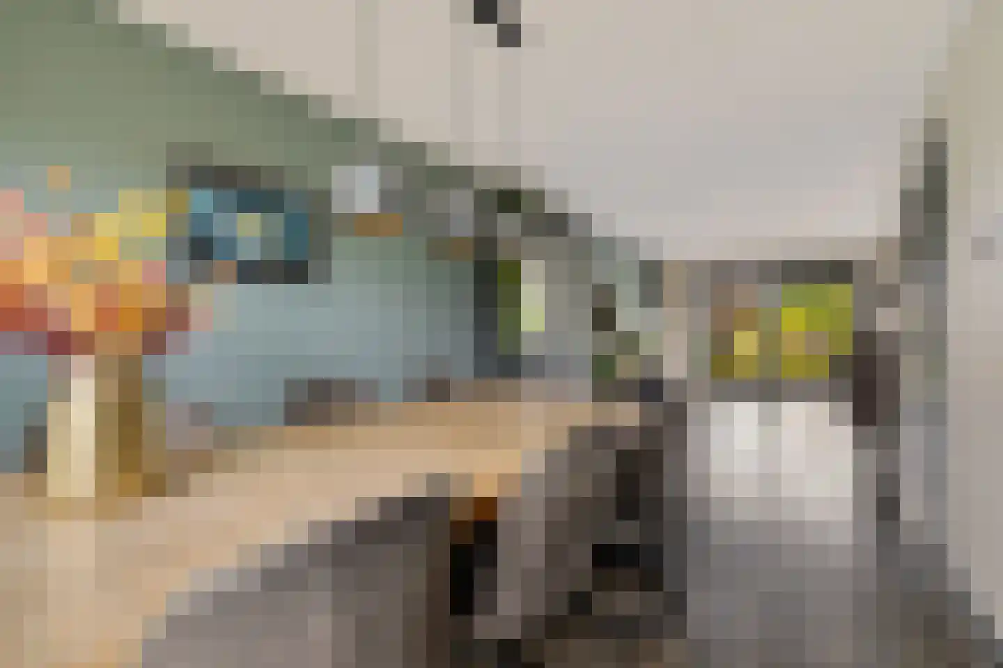 Rietpluim 7 Marknesse thumbnail 20