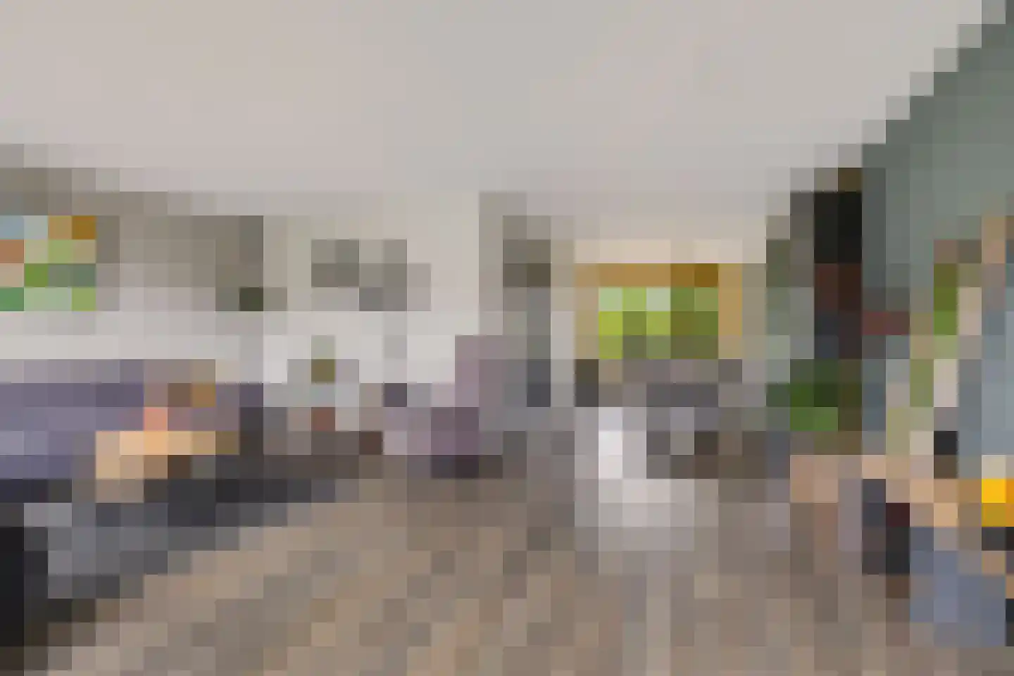 Rietpluim 7 Marknesse thumbnail 21
