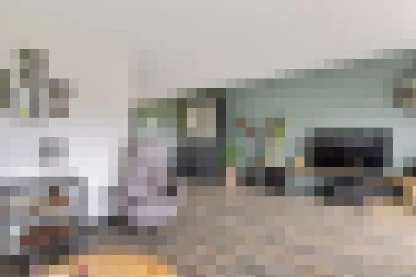 Rietpluim 7 Marknesse thumbnail 22