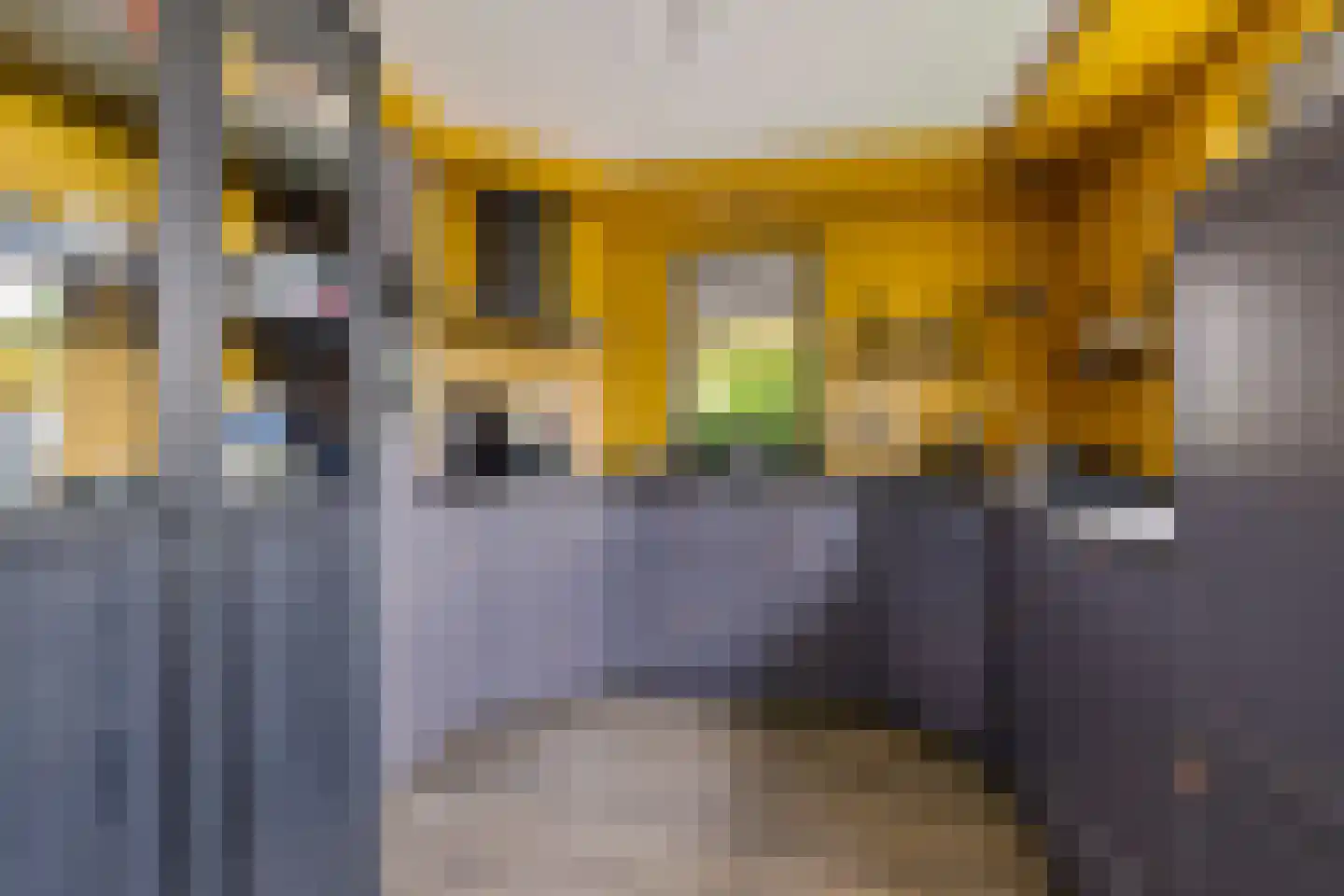 Rietpluim 7 Marknesse thumbnail 25