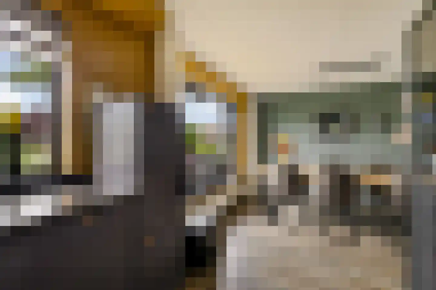 Rietpluim 7 Marknesse thumbnail 26