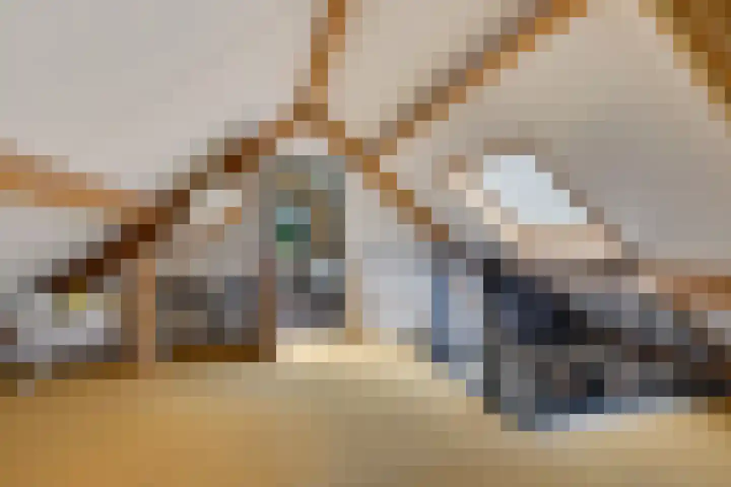Rietpluim 7 Marknesse thumbnail 28