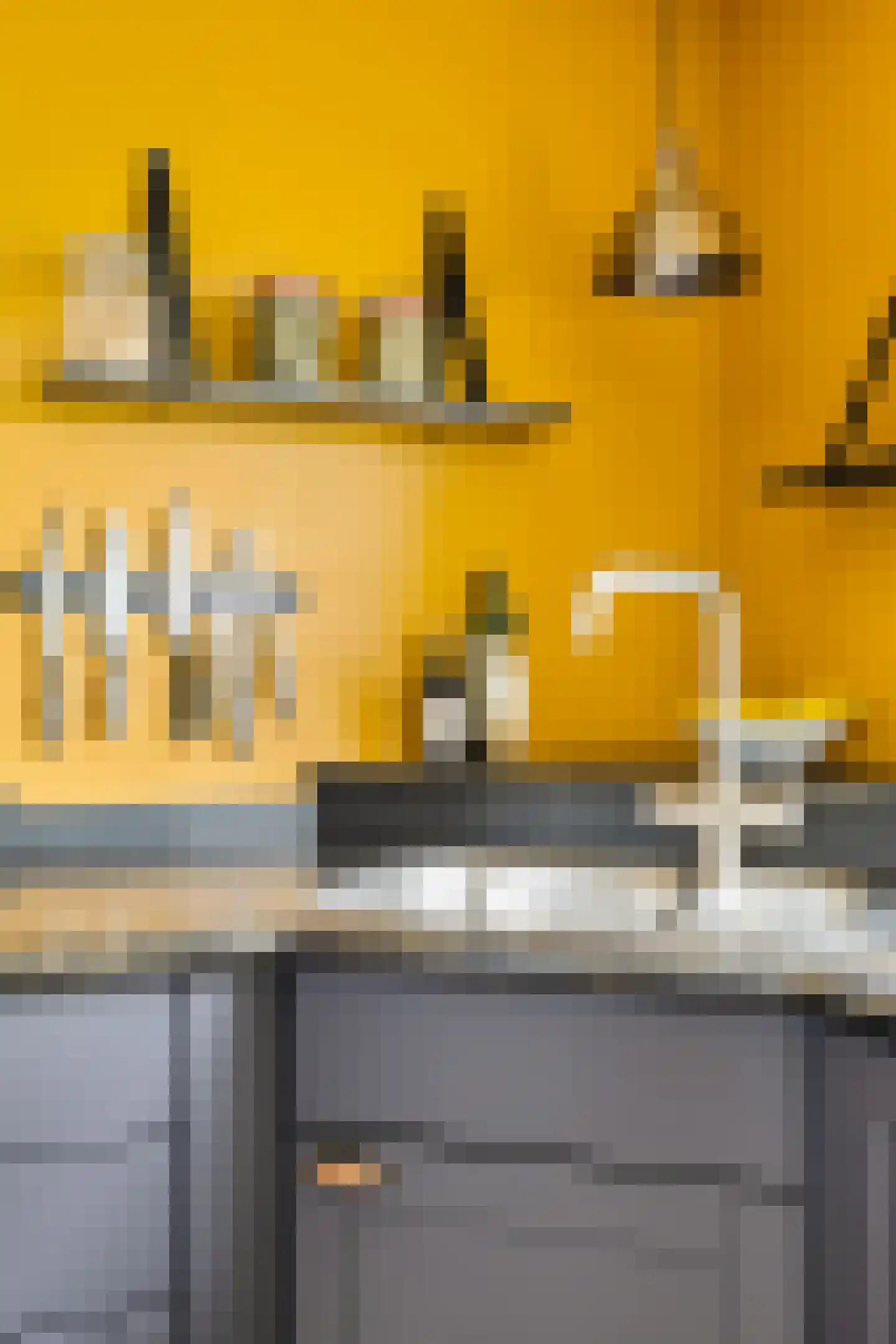 Rietpluim 7 Marknesse thumbnail 29