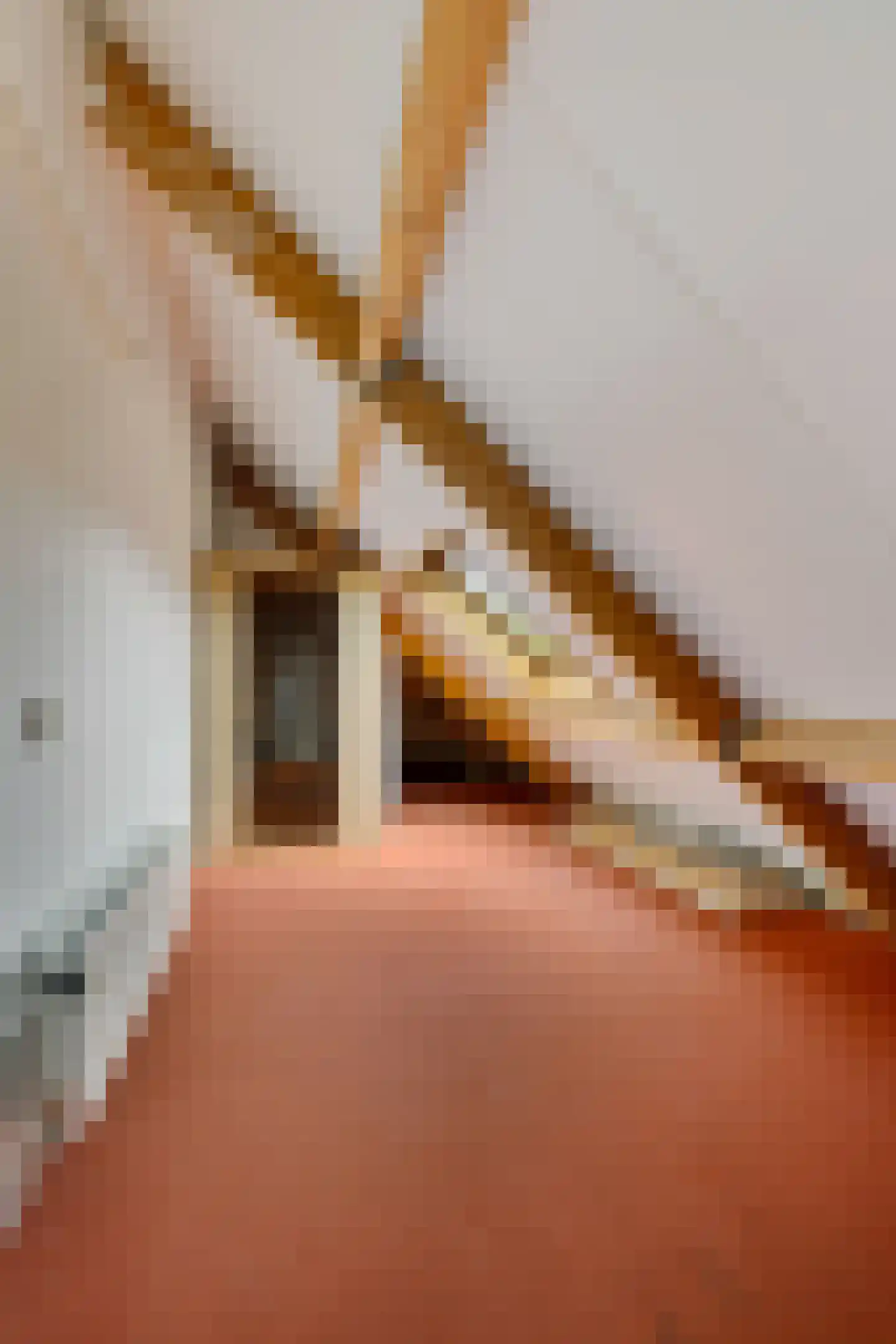 Rietpluim 7 Marknesse thumbnail 40