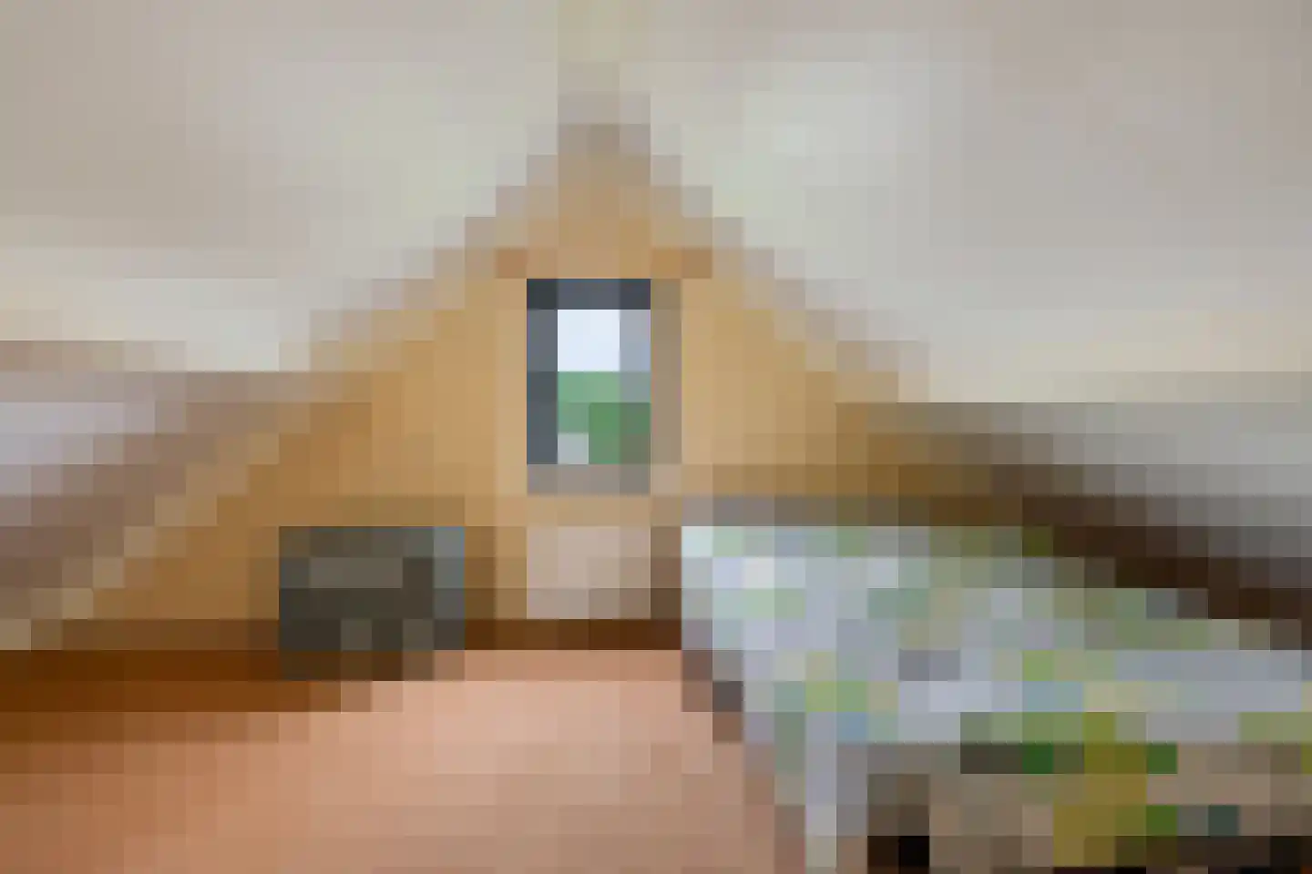 Rietpluim 7 Marknesse thumbnail 41