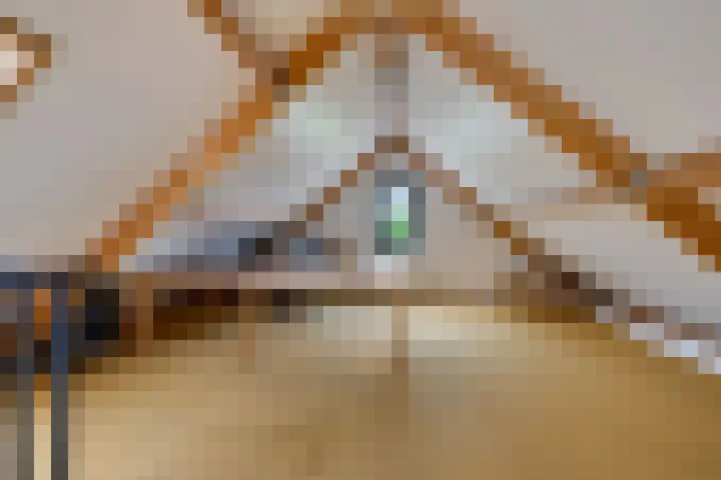 Rietpluim 7 Marknesse thumbnail 42