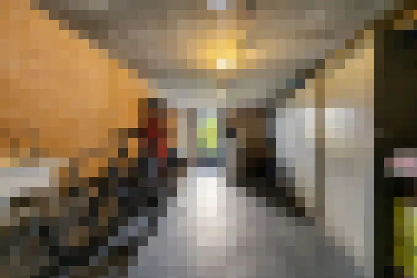 Rietpluim 7 Marknesse thumbnail 43