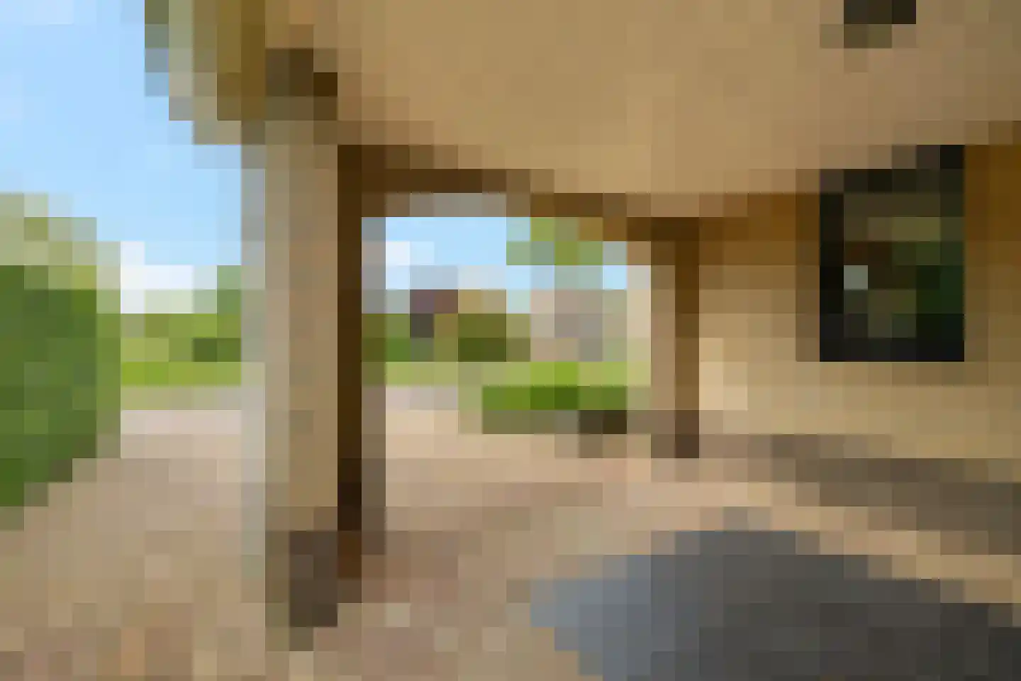 Rietpluim 7 Marknesse thumbnail 5
