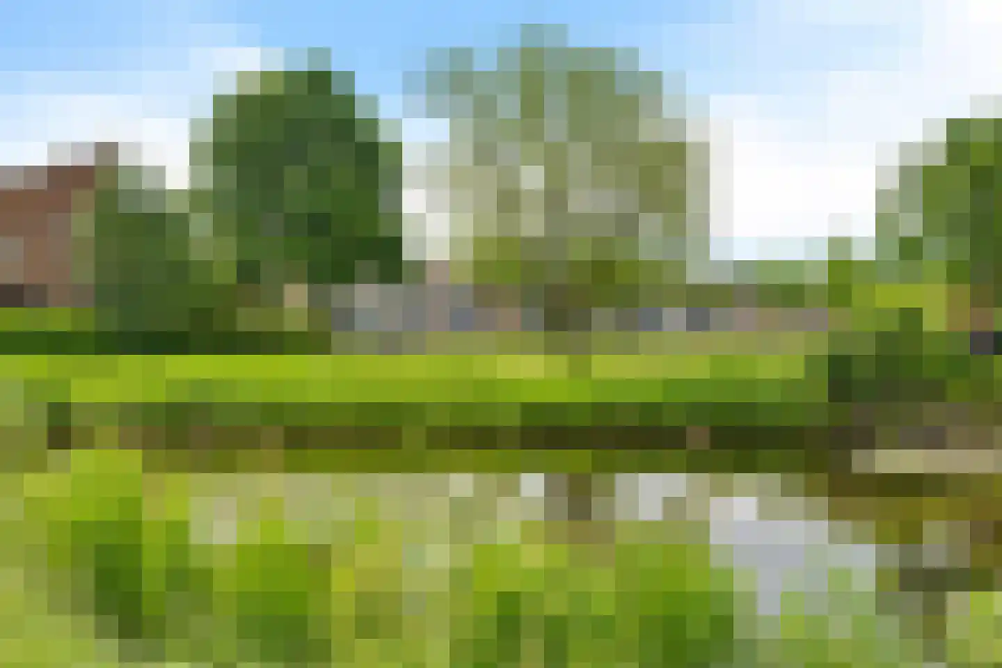 Rietpluim 7 Marknesse thumbnail 6