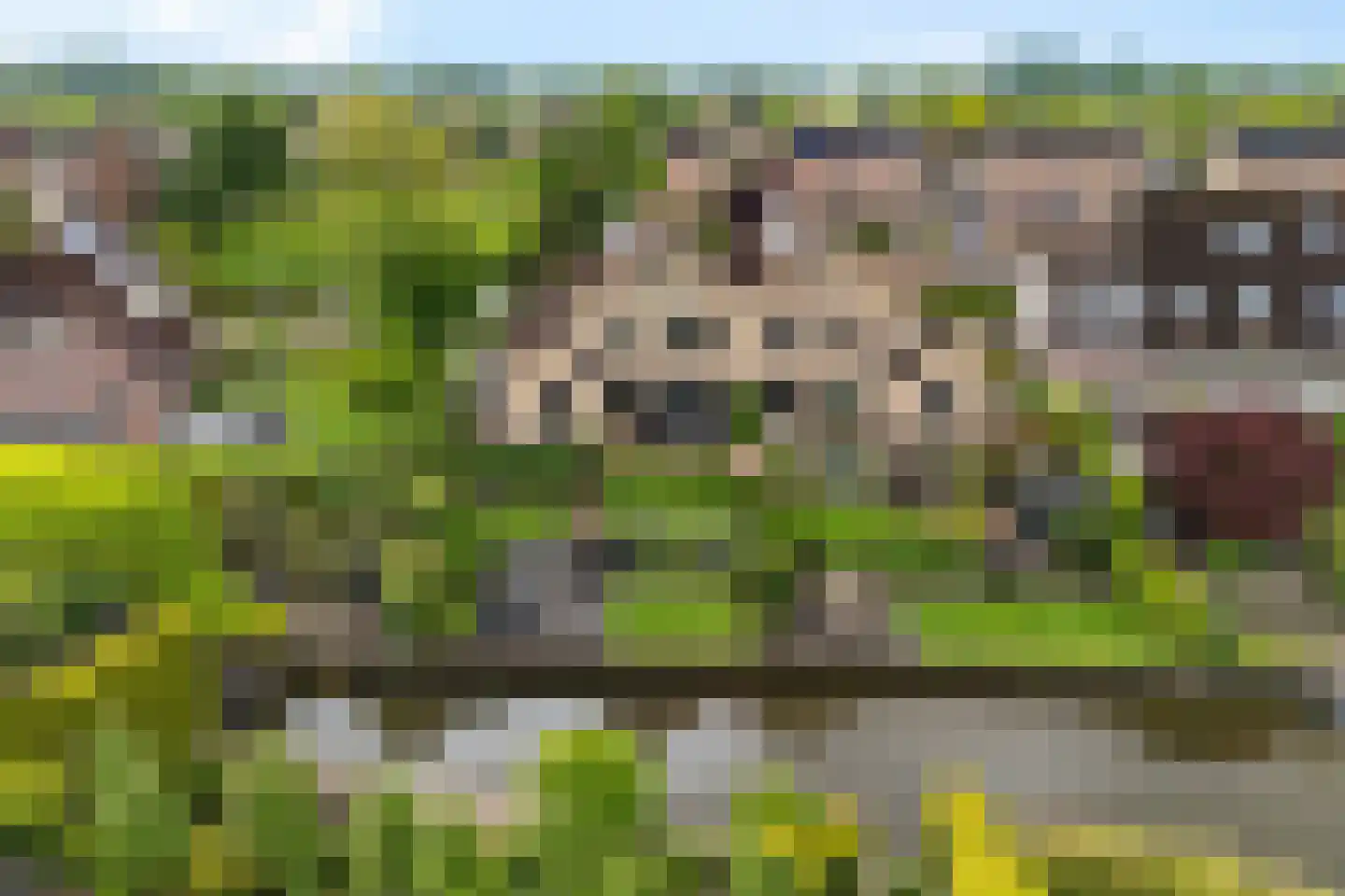 Rietpluim 7 Marknesse thumbnail 7