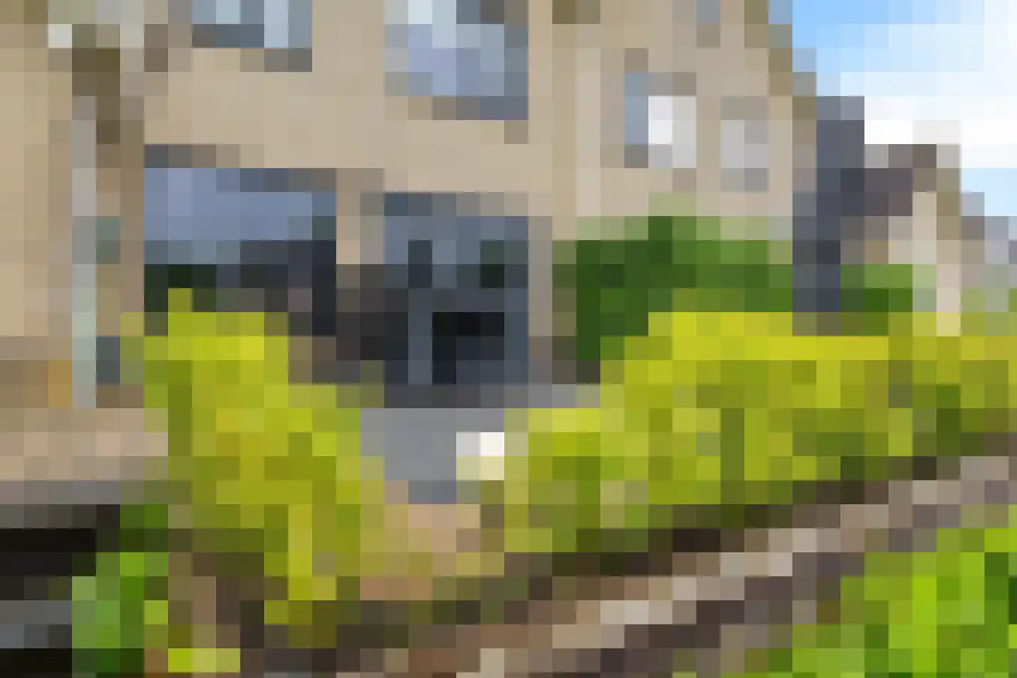 Rietpluim 7 Marknesse thumbnail 8