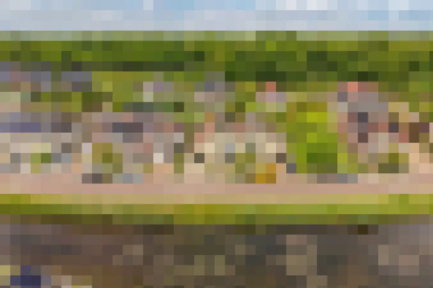 Rietpluim 8 Marknesse thumbnail 16