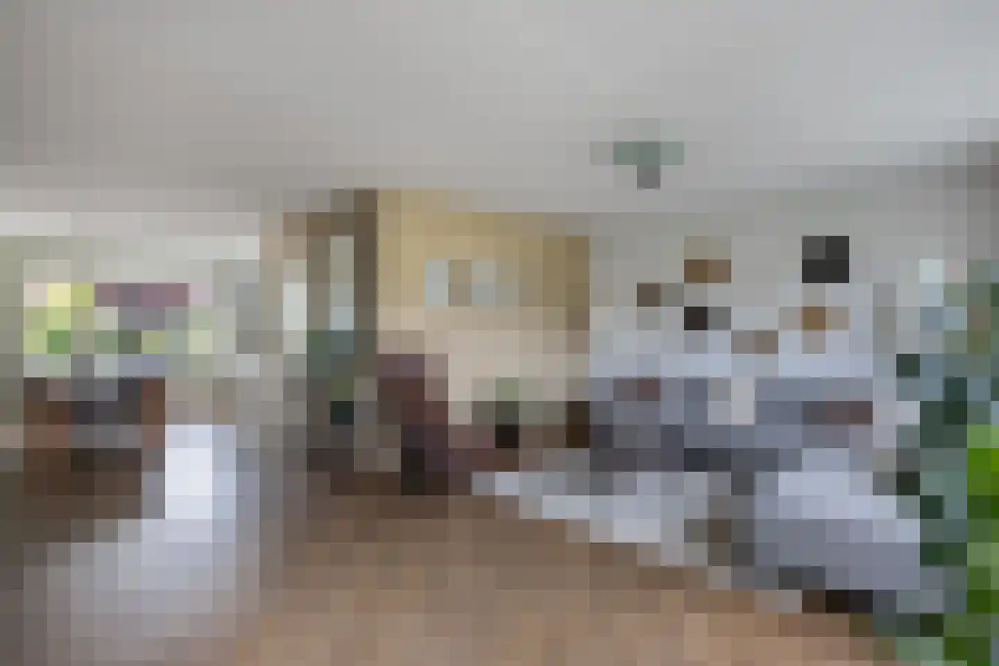 Rietpluim 8 Marknesse thumbnail 20