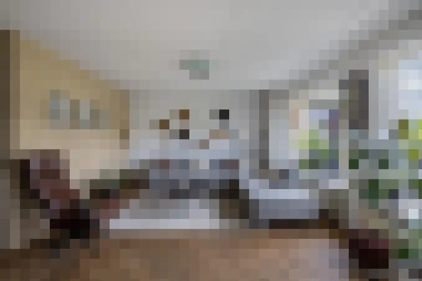 Rietpluim 8 Marknesse thumbnail 21