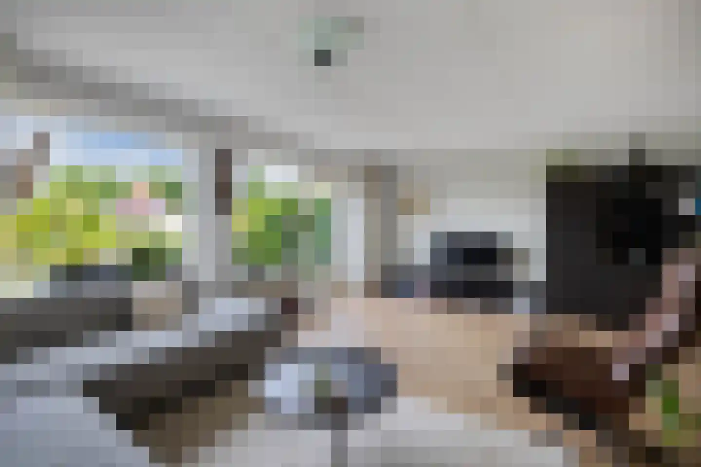 Rietpluim 8 Marknesse thumbnail 22
