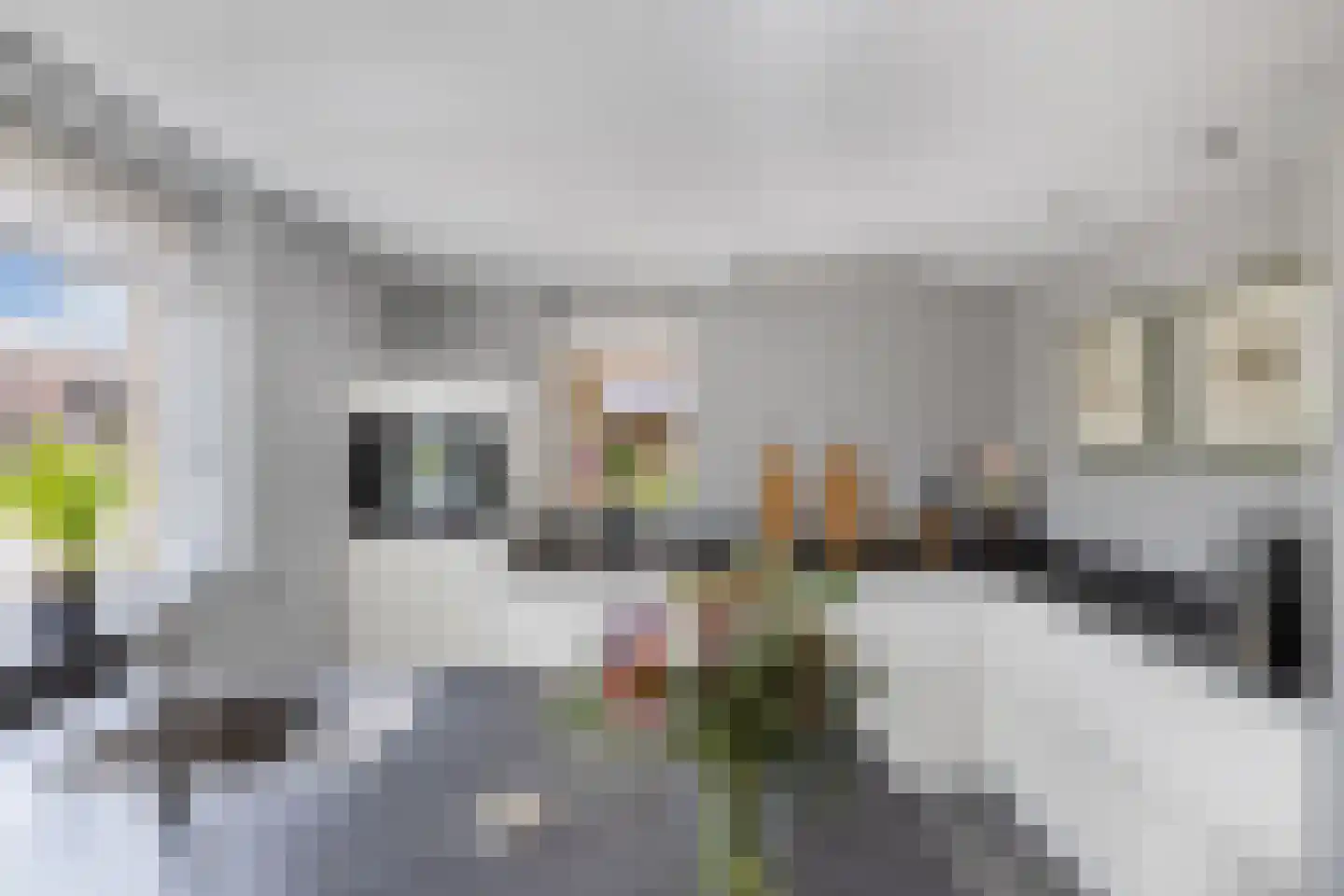 Rietpluim 8 Marknesse thumbnail 27