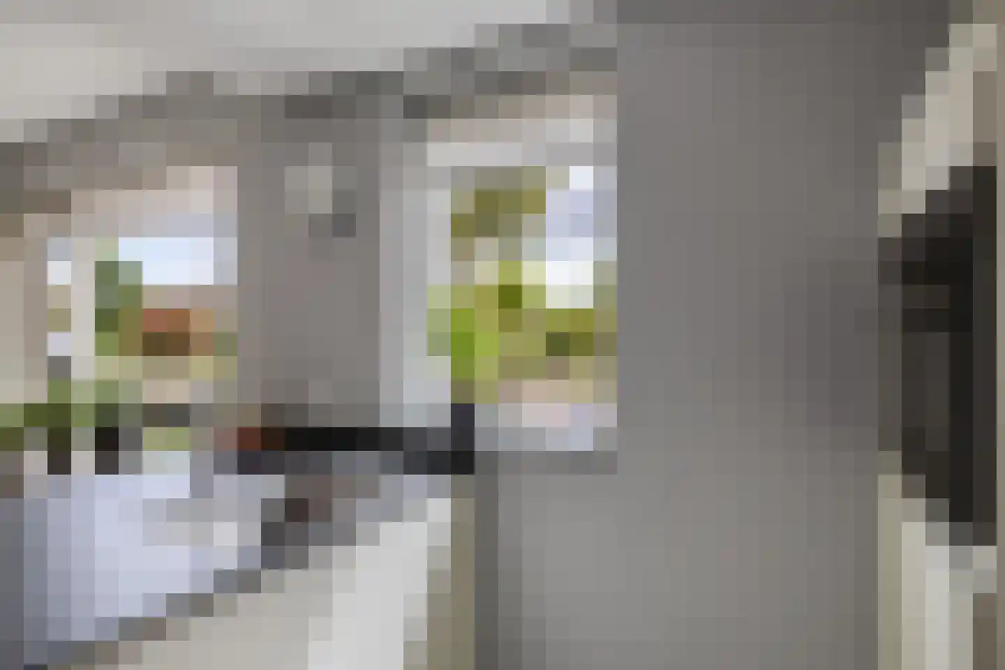 Rietpluim 8 Marknesse thumbnail 28