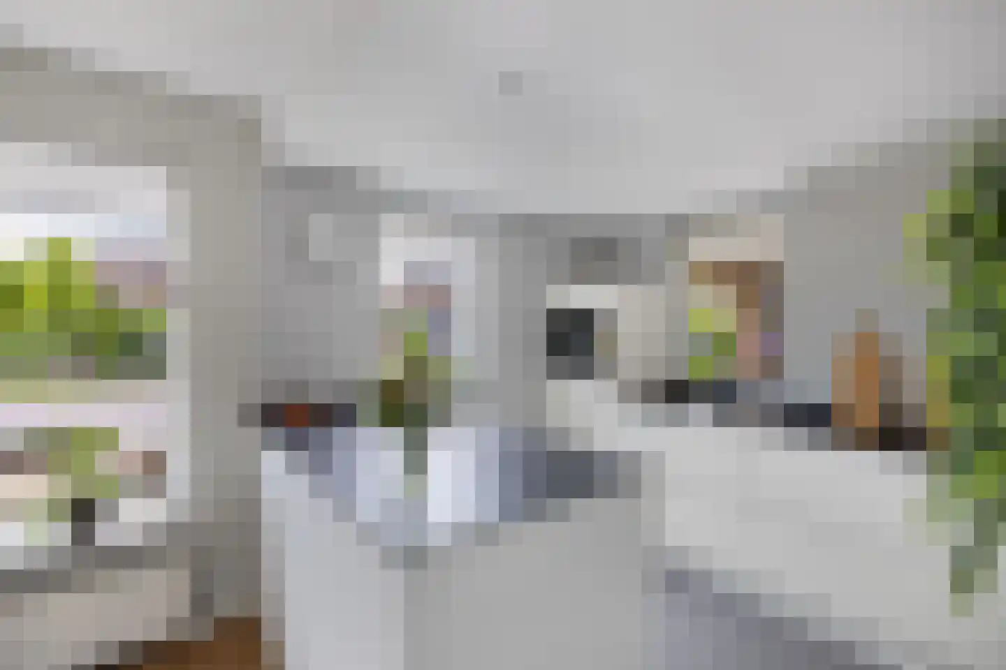 Rietpluim 8 Marknesse thumbnail 29
