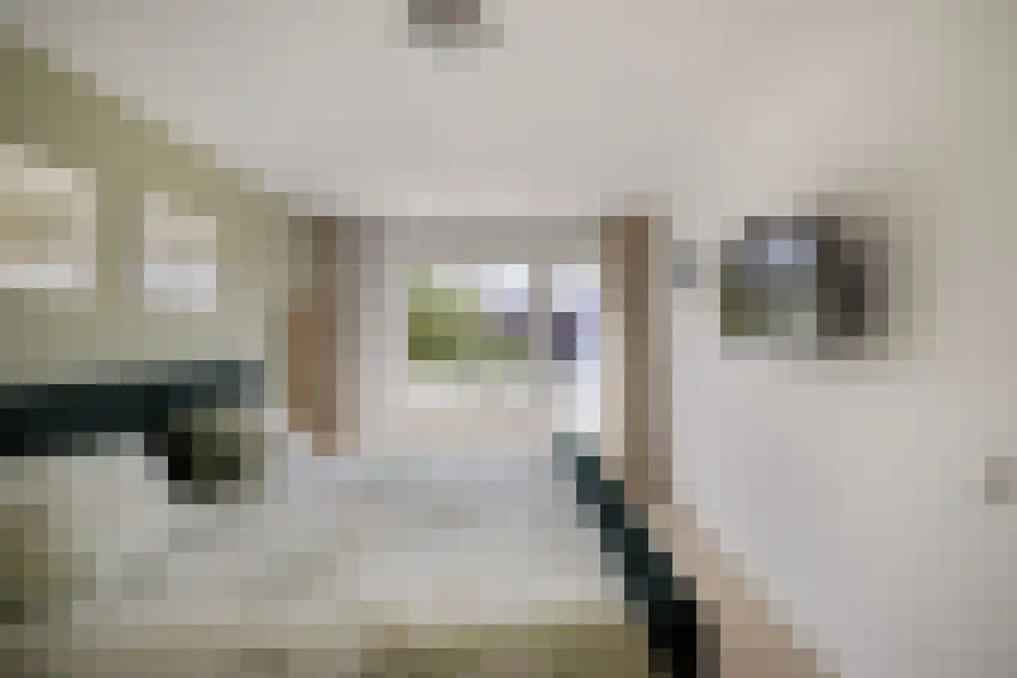 Rietpluim 8 Marknesse thumbnail 31