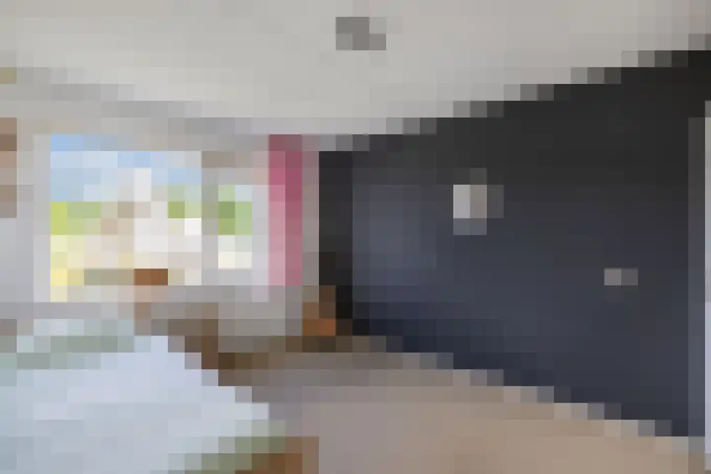 Rietpluim 8 Marknesse thumbnail 34