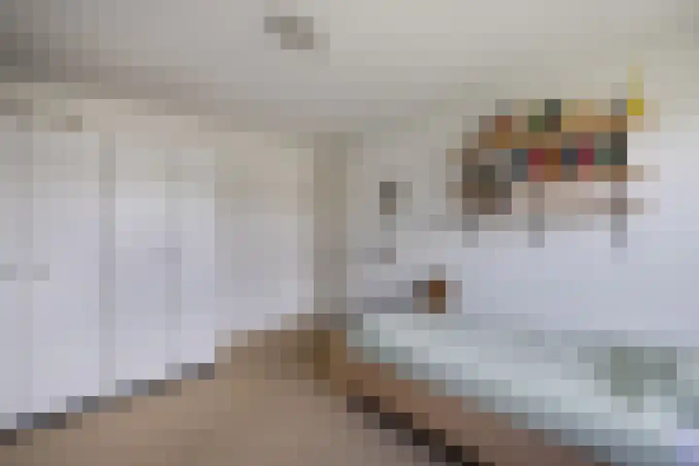 Rietpluim 8 Marknesse thumbnail 35