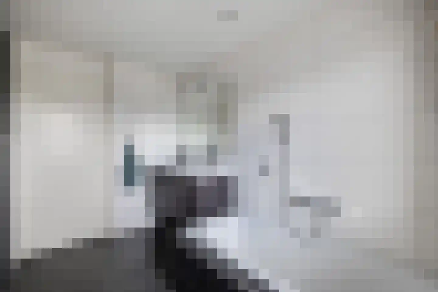 Rietpluim 8 Marknesse thumbnail 41