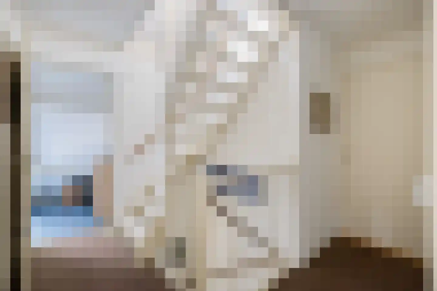 Rietpluim 8 Marknesse thumbnail 42